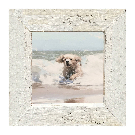 Dog running in water