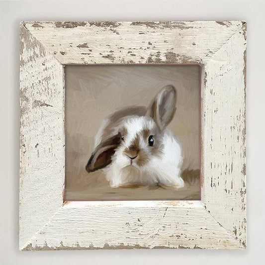 Baby Bunny