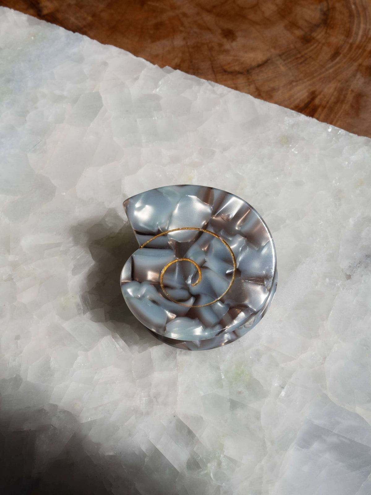 Spiral Sea Shell Hair Clip