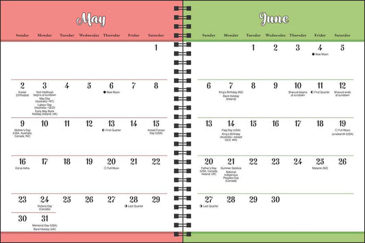 Wititudes 12-Month 2027 Monthly/Weekly Planner Calendar by Wititudes