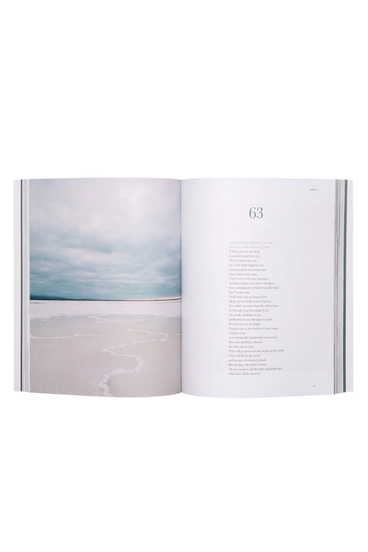 Alabaster Book of Psalms NLT