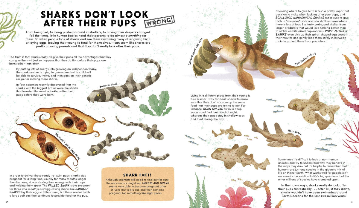 Everything You Know About Sharks Is Wrong!
