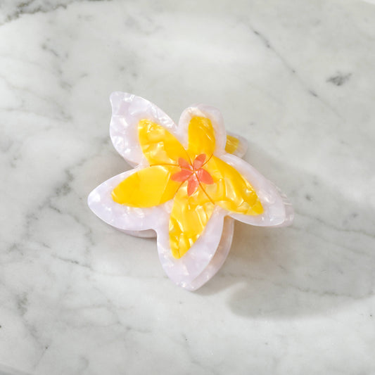 Eco-Friendly Plumeria Frangipani Flower Hair Clip