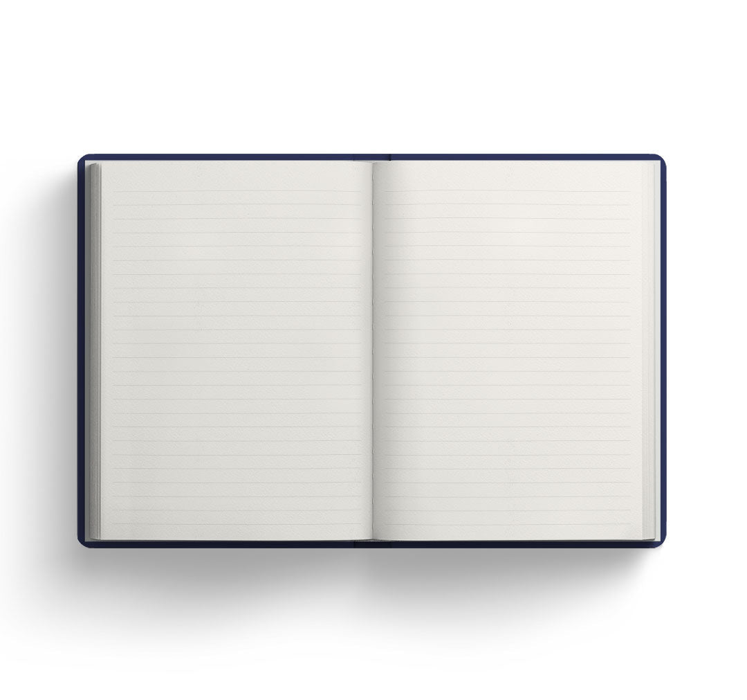 World Domination Paperback Notebook