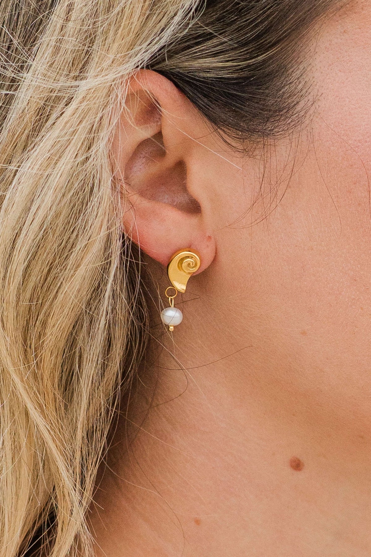 Nautilus Drop Earrings