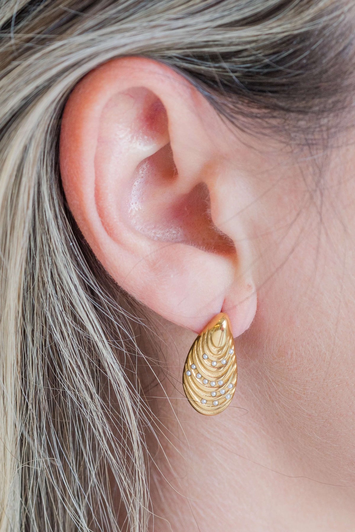Oyster Earrings