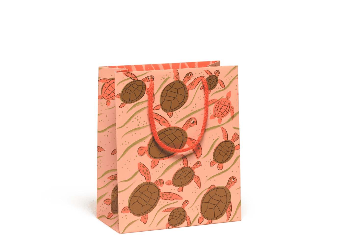 Turtle Family gift bag