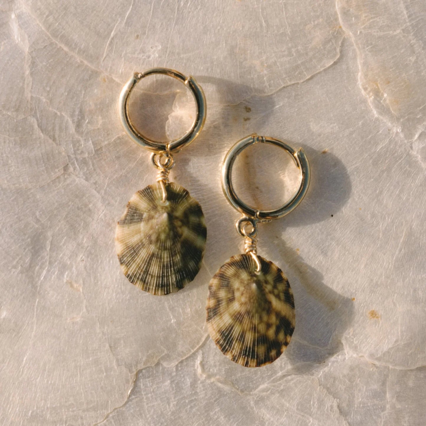Seafoam Shell Earrings