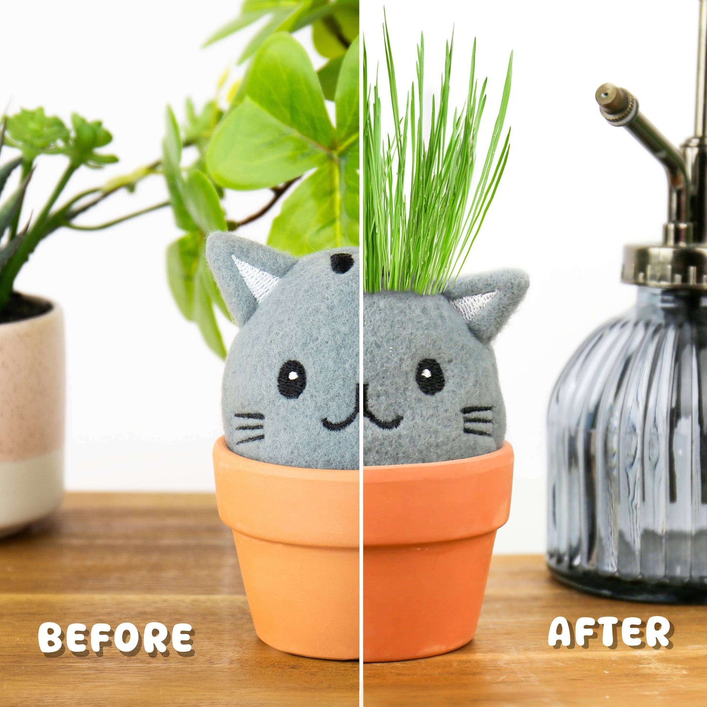 Grow Pals- Cat