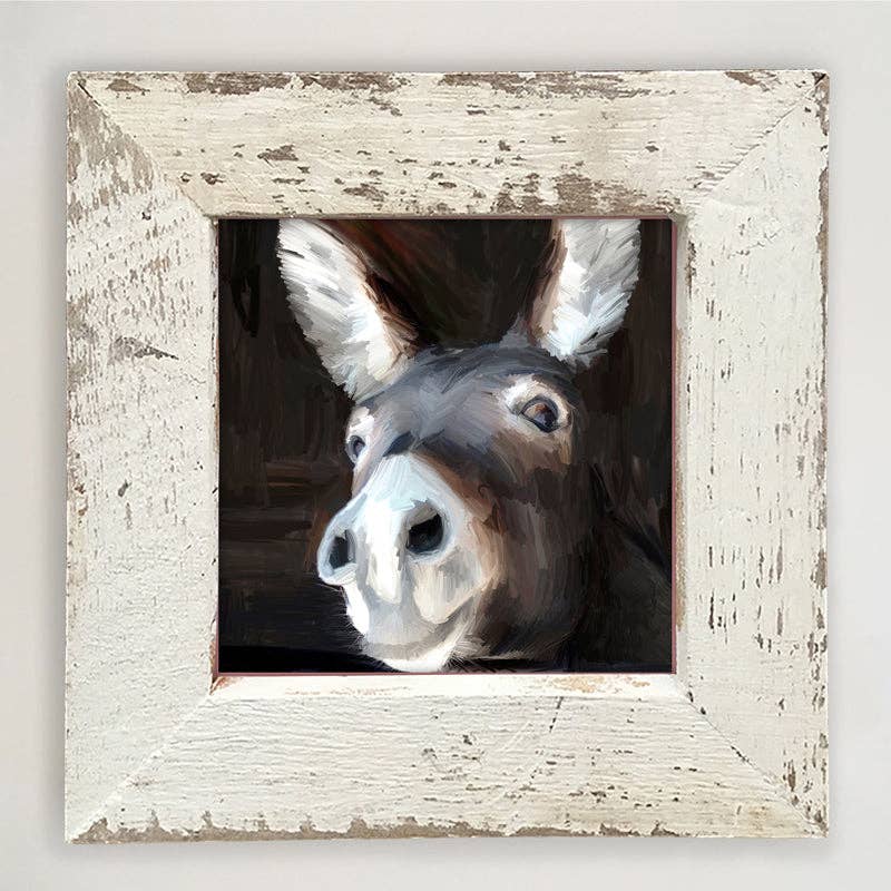 Donkey