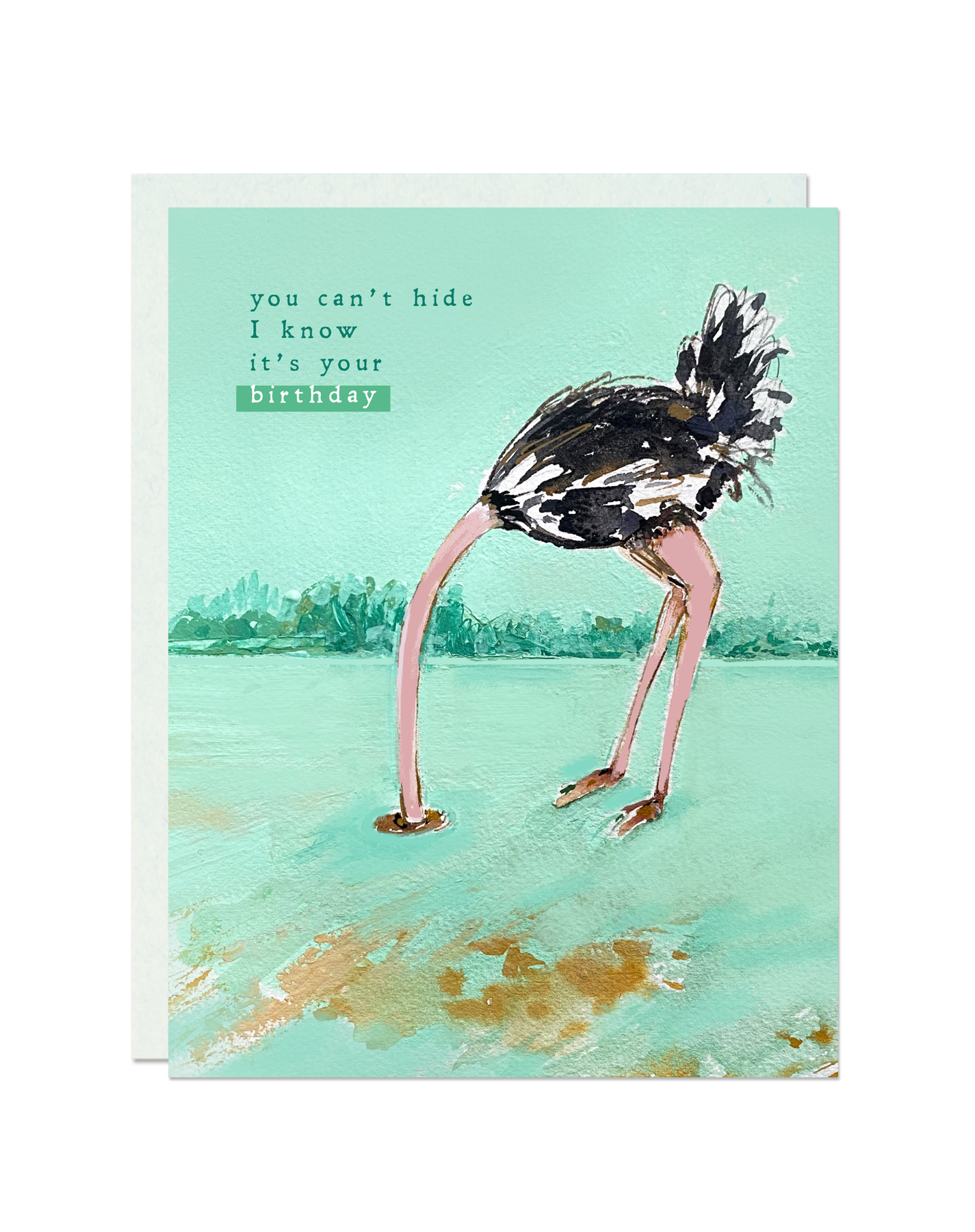 You Can't Hide, It's Your B-day Greeting Card