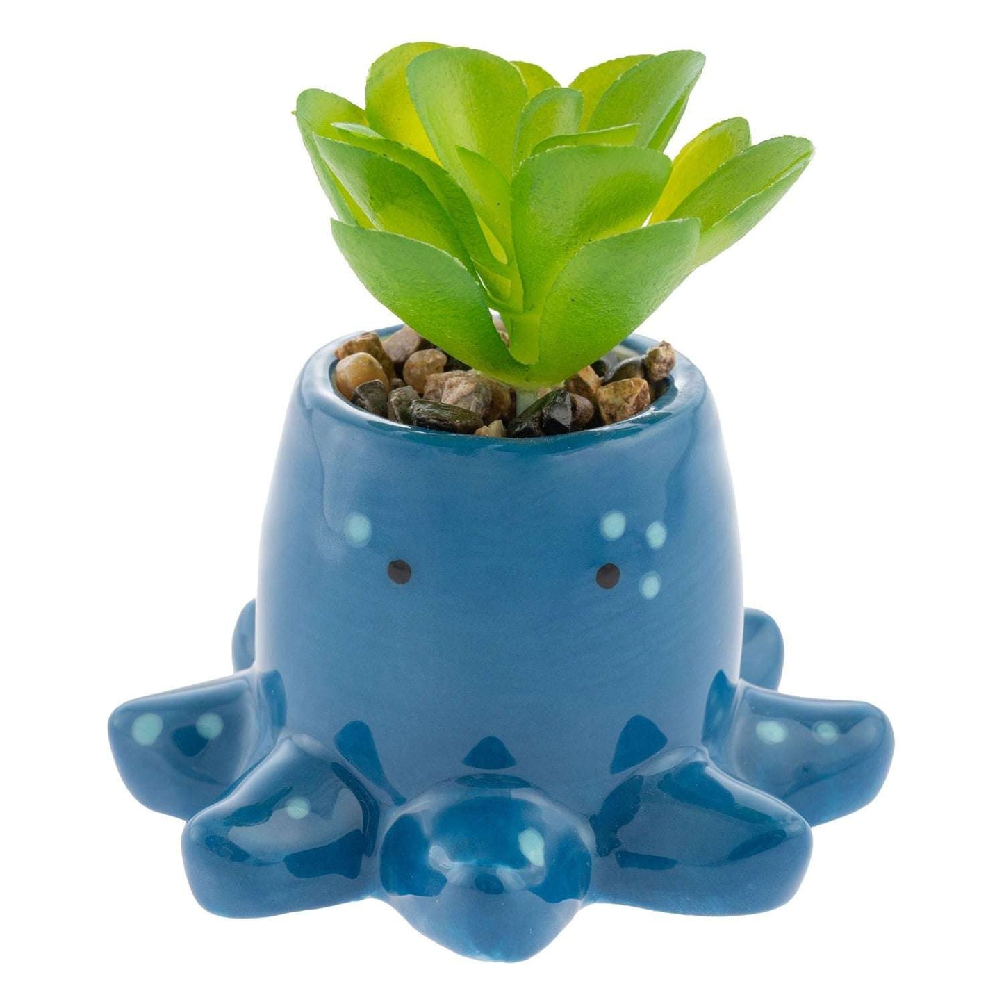 SHAPED SUCCULENT POT OCTOPUS (F25)