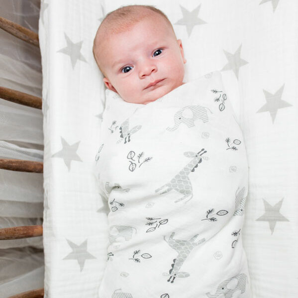 Lulujo XL Cotton Swaddle - Zoo Animals