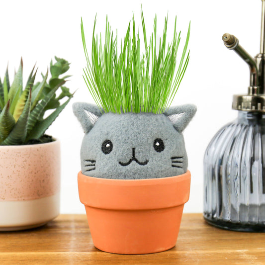 Grow Pals- Cat