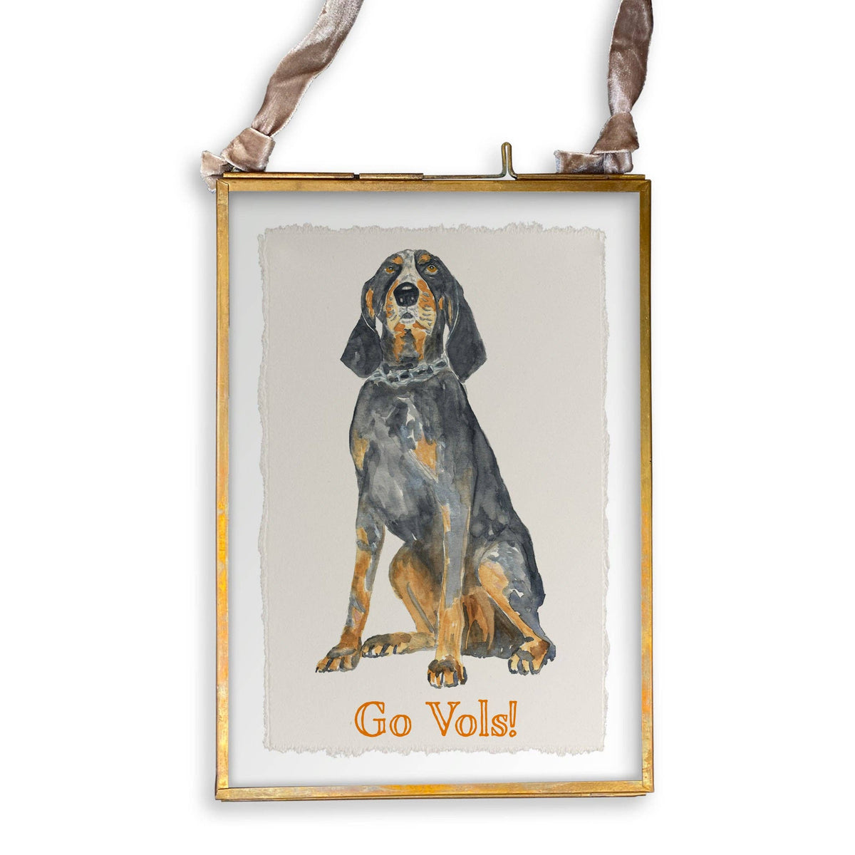Tennessee Coon Hound