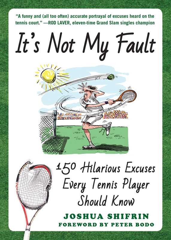 It's Not My Fault by Joshua Shifrin
