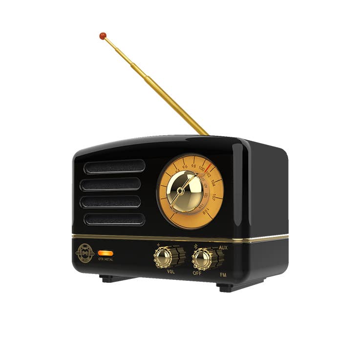 MUZEN OTR Metal Wireless Portable FM Radio Bluetooth Speaker