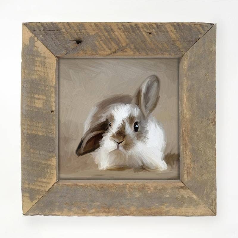Baby Bunny