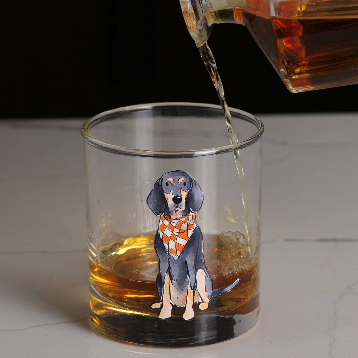 Bluetick Coonhound Sitting Rocks Glass