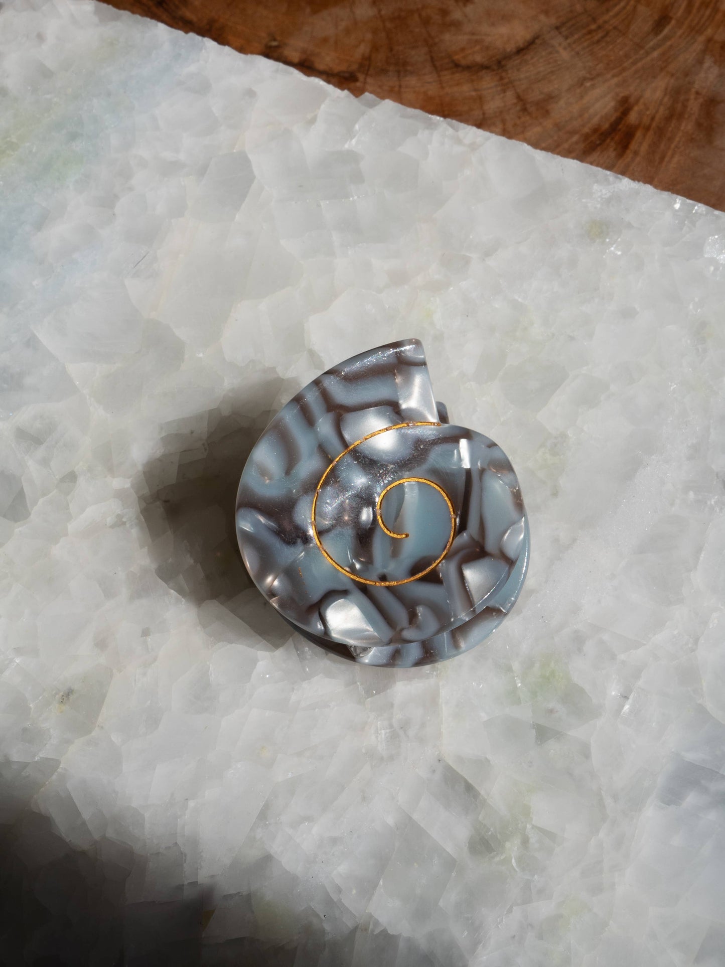 Spiral Sea Shell Hair Clip
