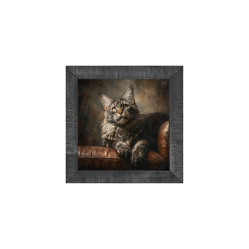 Armchair with Maine Coon Cat - Square Box Frame
