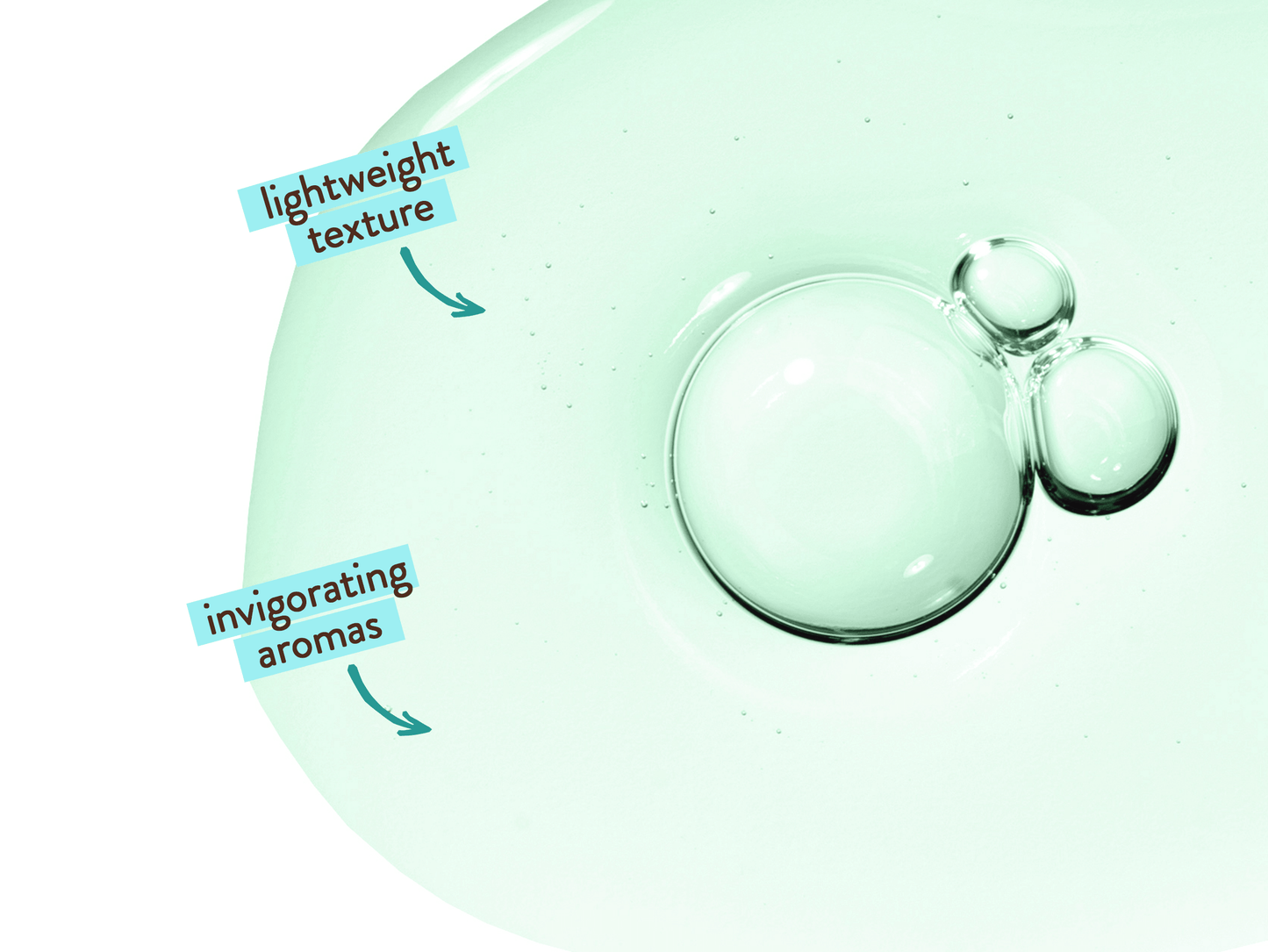 Eucalyptus Remedy Plant-Based Shampoo & Wash - 16oz