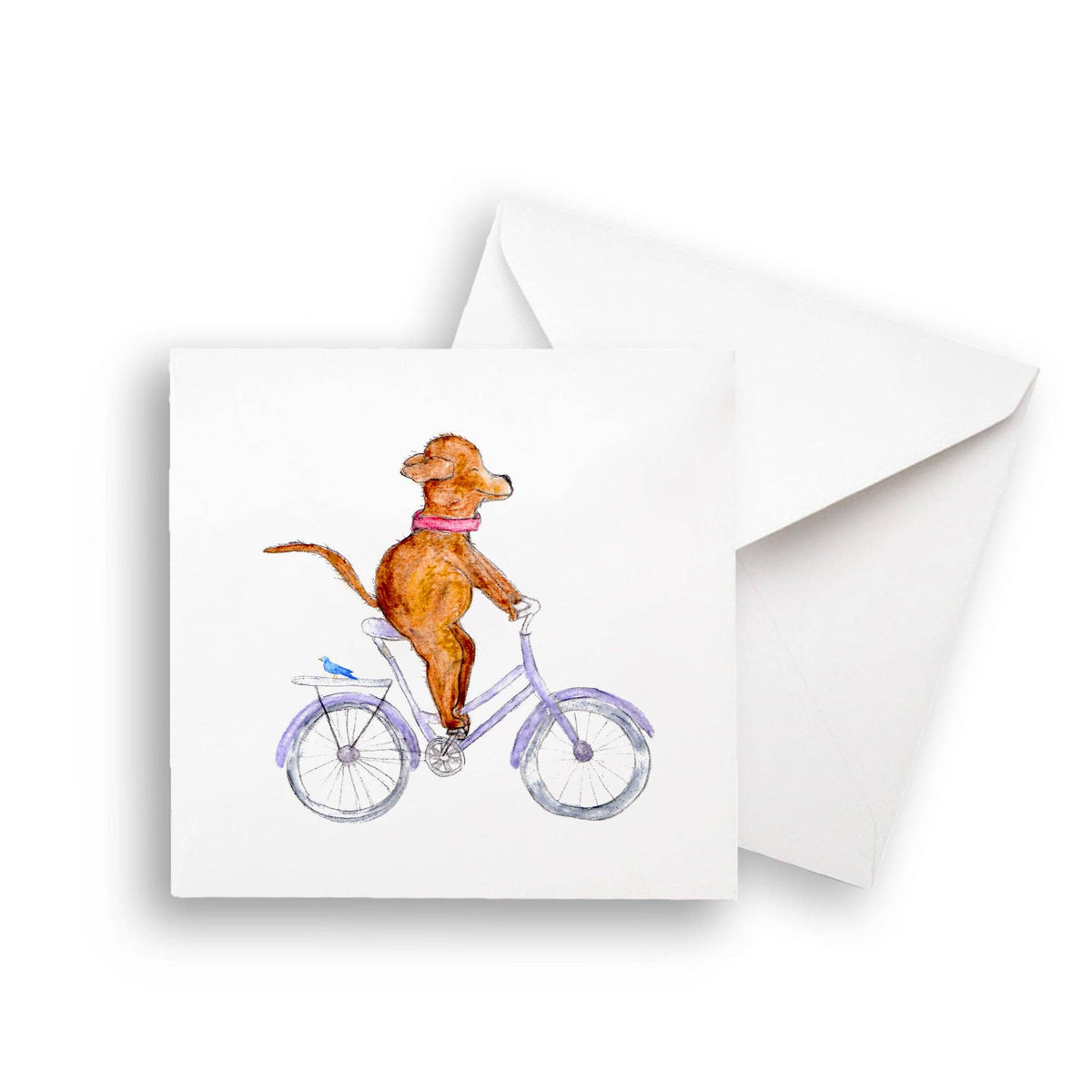 Dog On a Bike