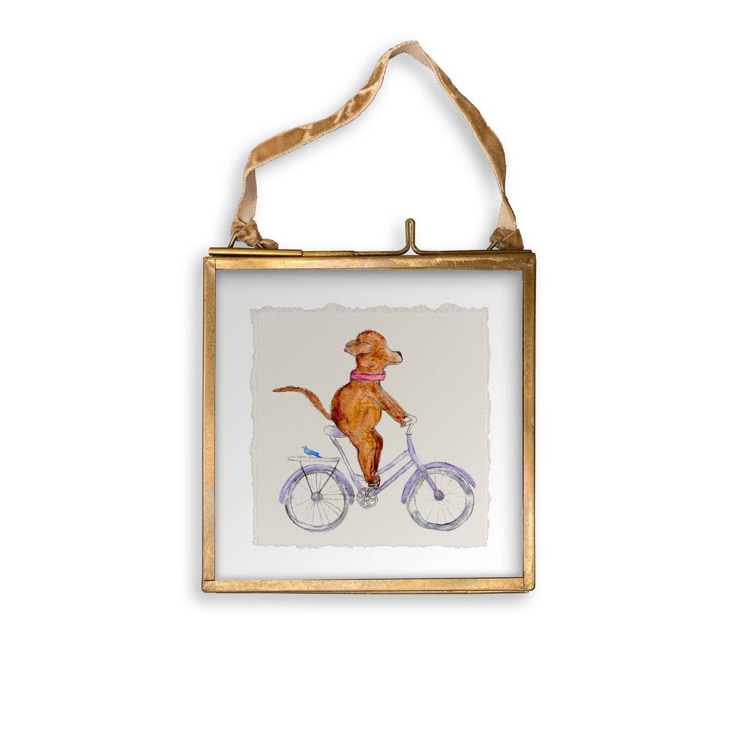 Dog On a Bike