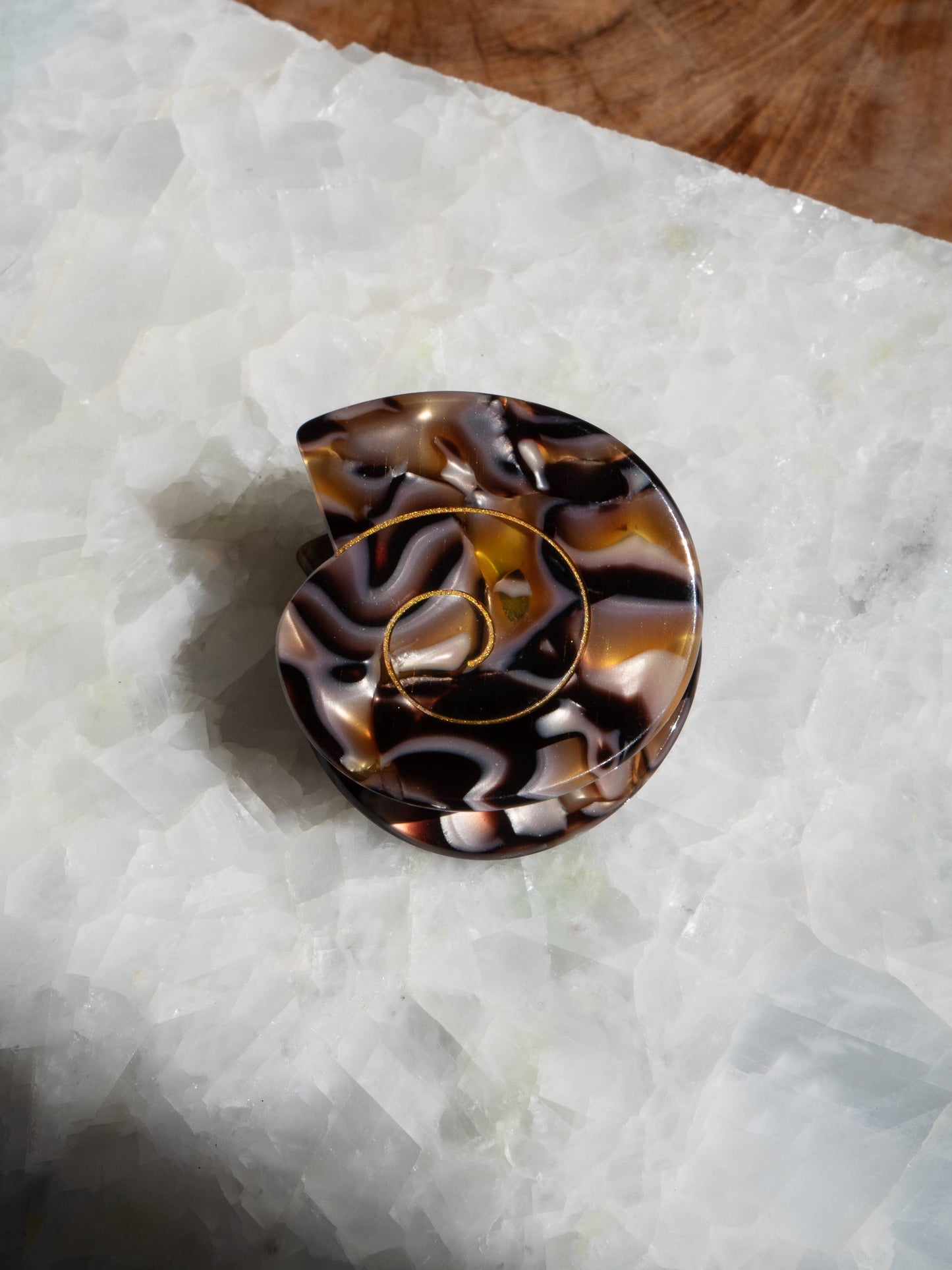 Spiral Sea Shell Hair Clip