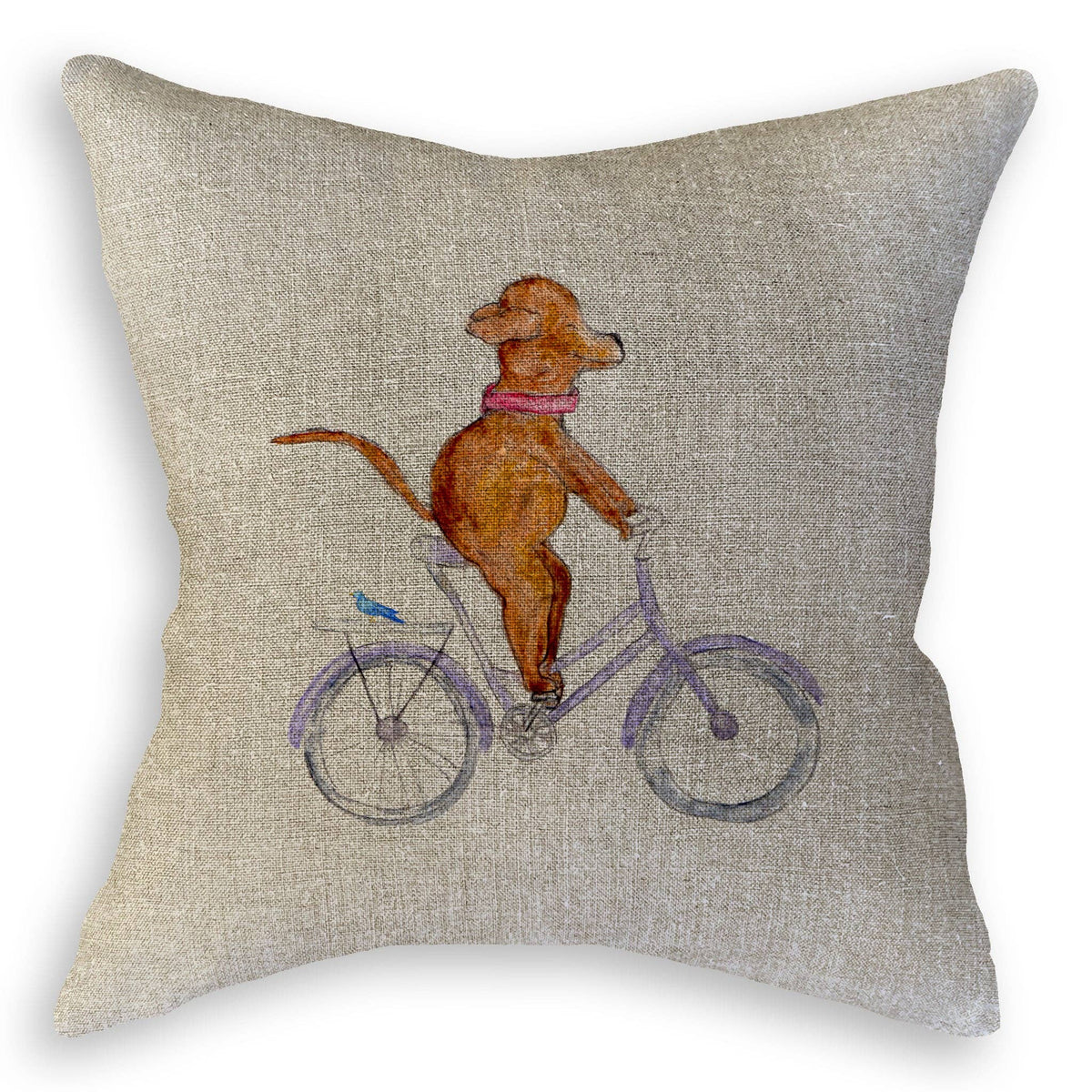Dog On a Bike