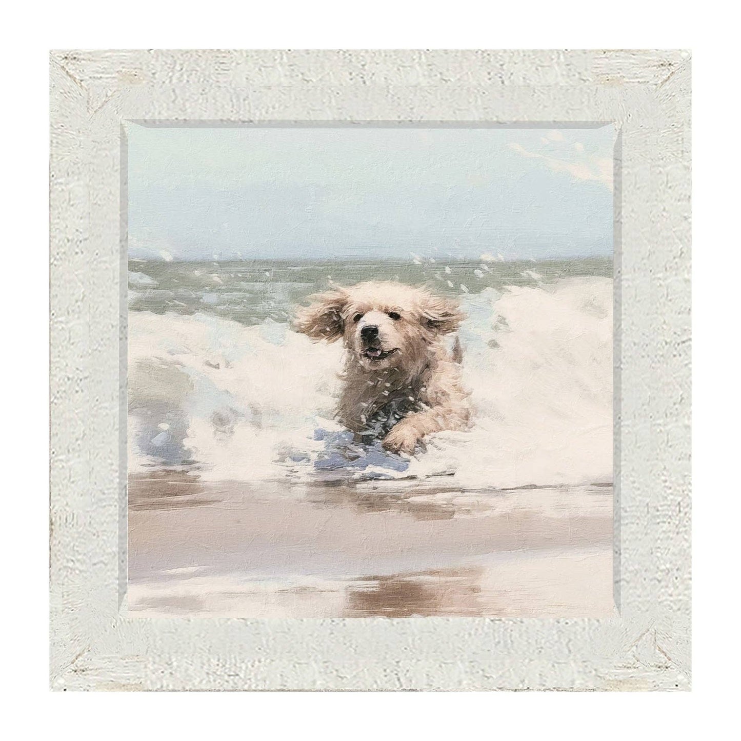 Dog running in water
