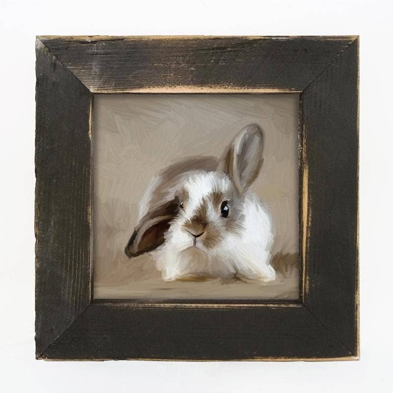 Baby Bunny