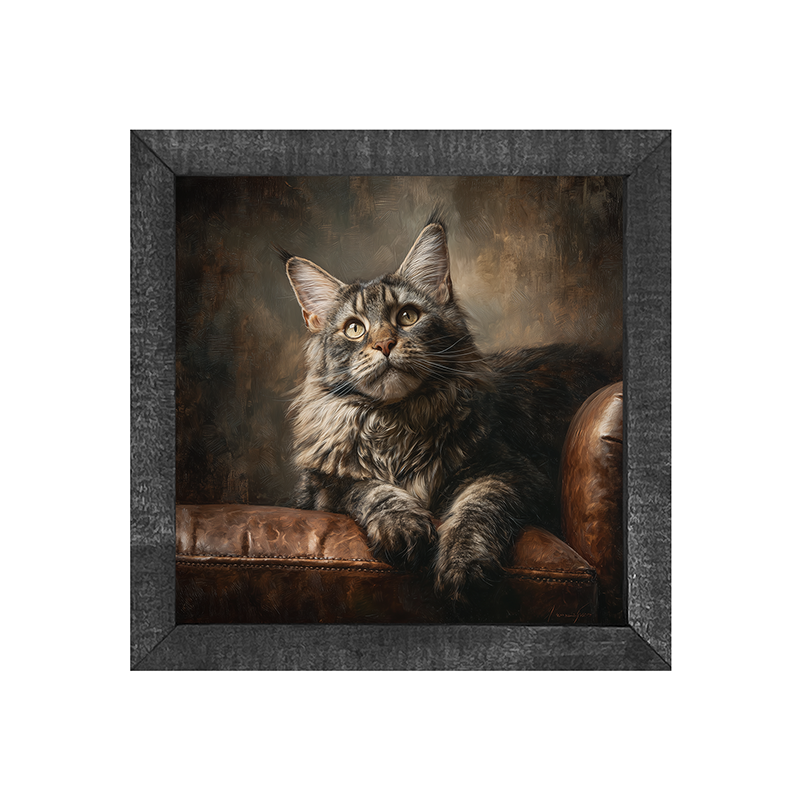 Armchair with Maine Coon Cat - Square Box Frame