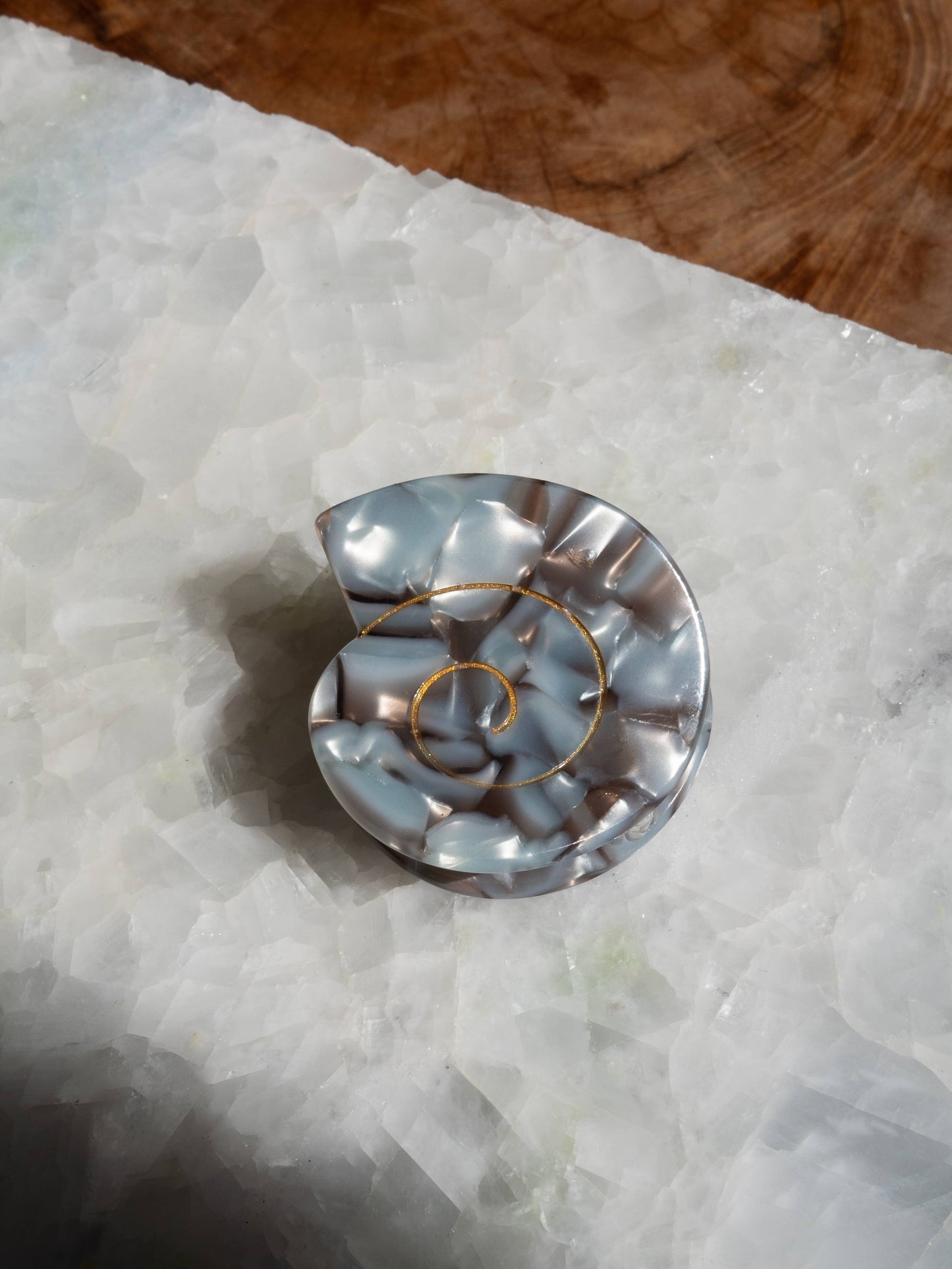 Spiral Sea Shell Hair Clip