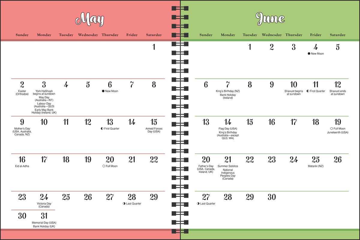 Wititudes 12-Month 2027 Monthly/Weekly Planner Calendar by Wititudes