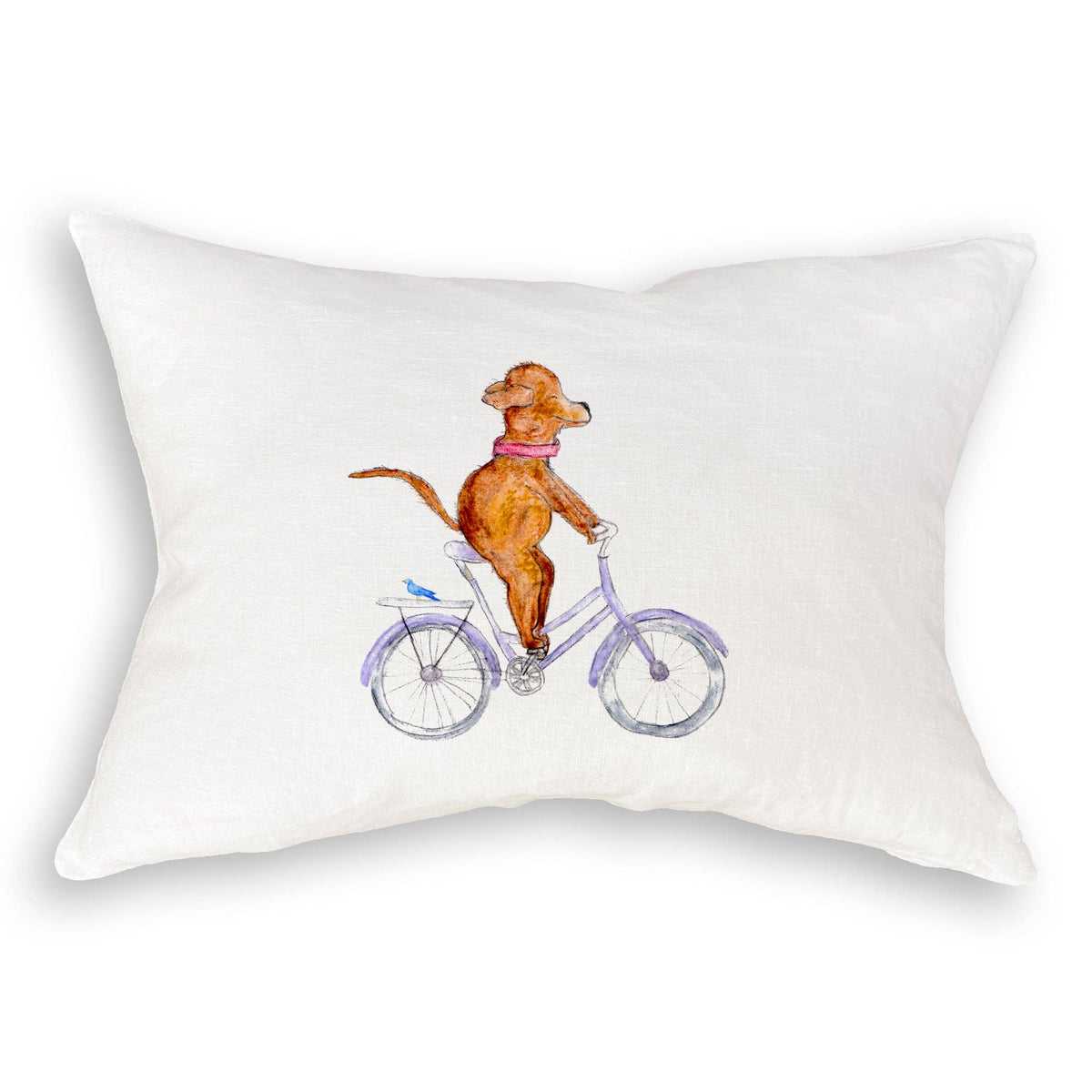 Dog On a Bike