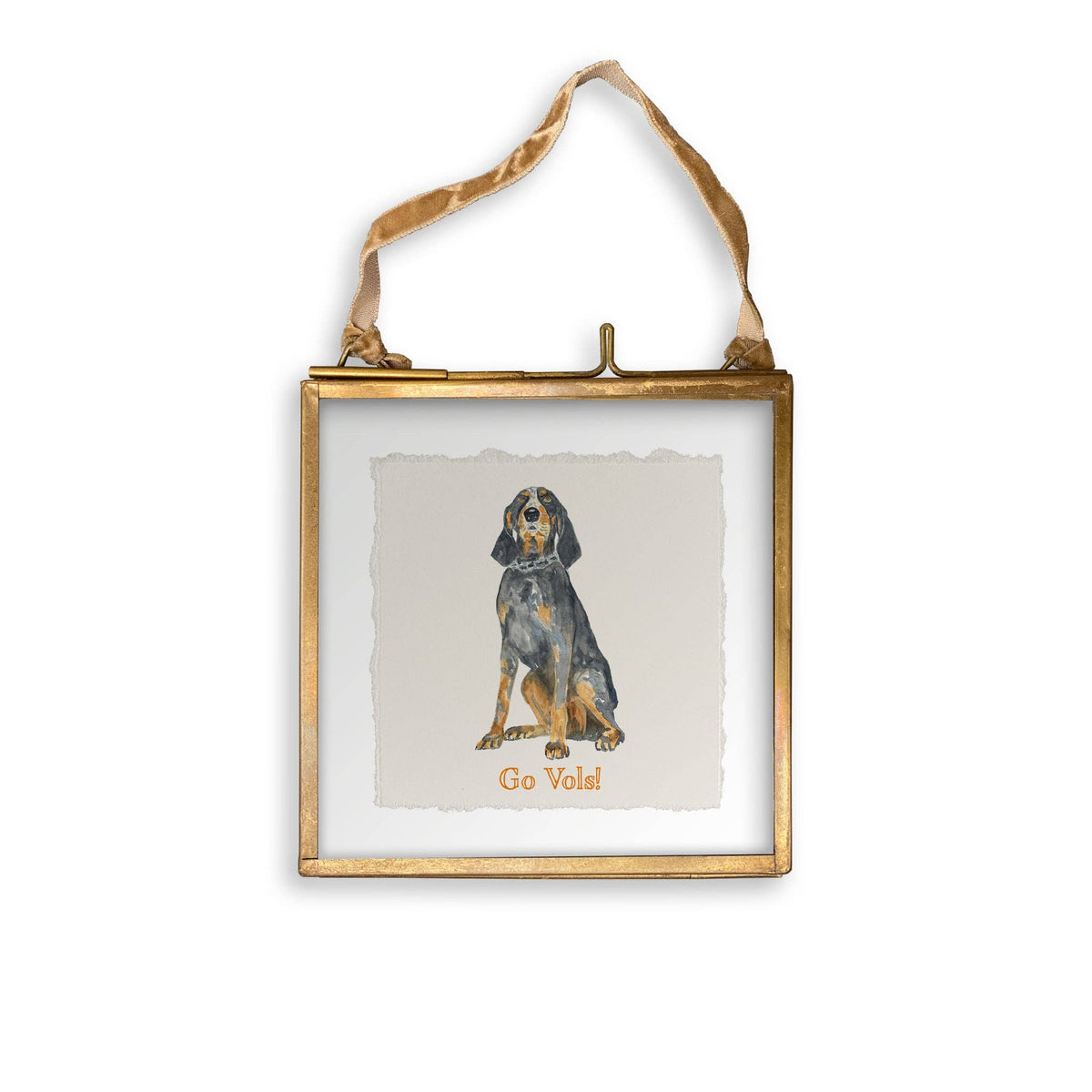 Tennessee Coon Hound