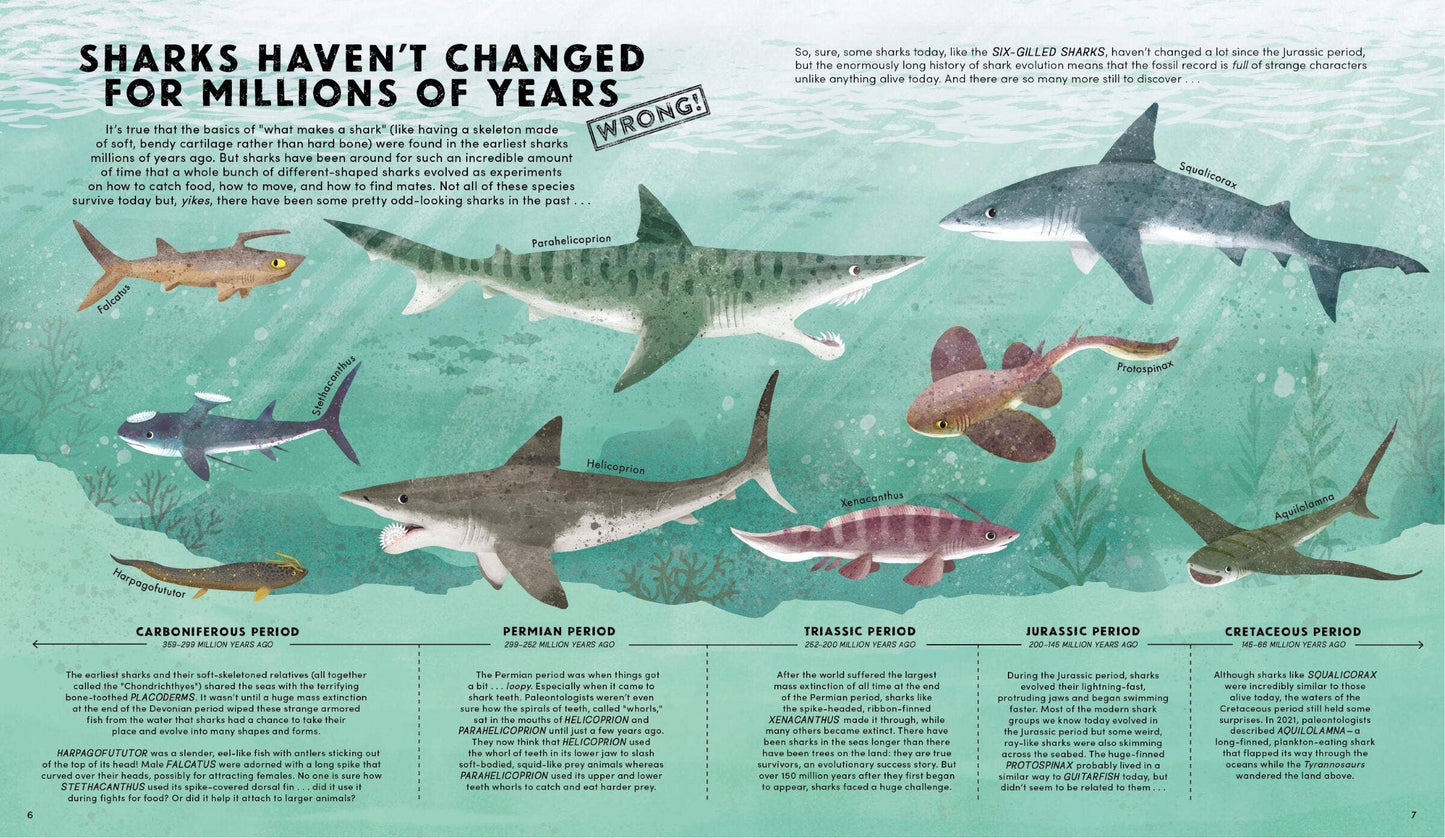 Everything You Know About Sharks Is Wrong!