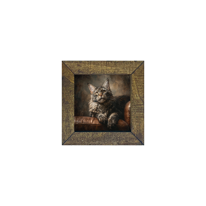 Armchair with Maine Coon Cat - Square Box Frame