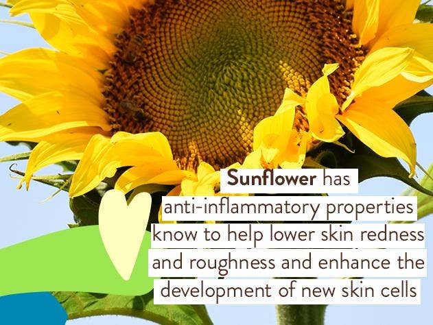 Super Shield Sunscreen Lotion SPF50