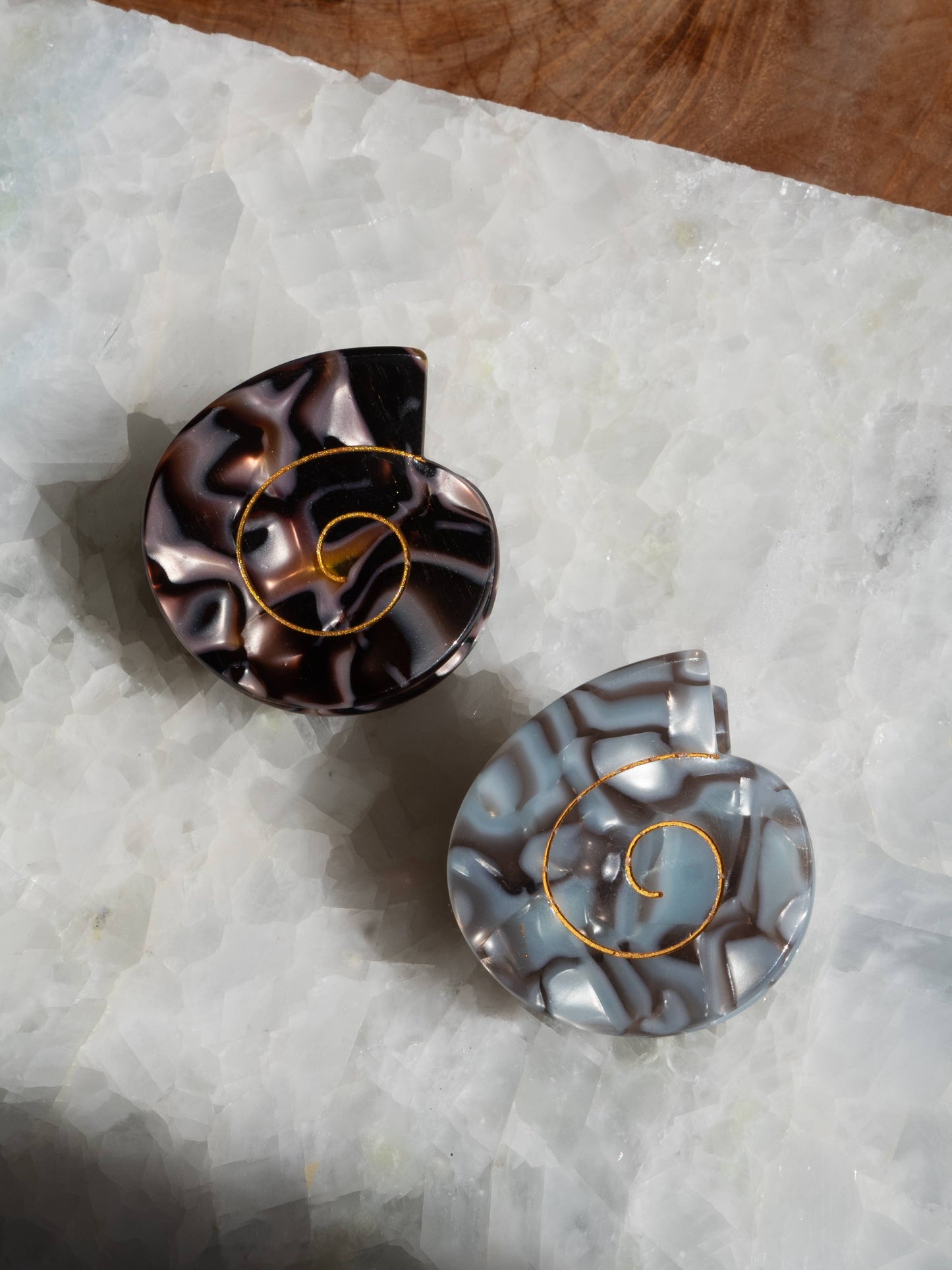 Spiral Sea Shell Hair Clip