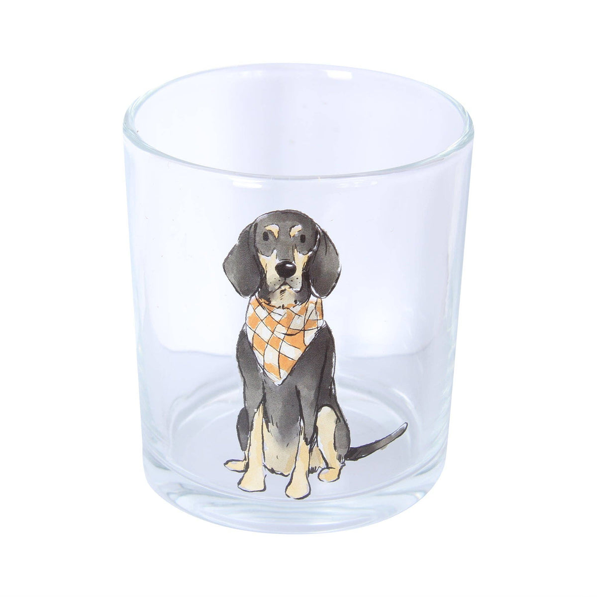 Bluetick Coonhound Sitting Rocks Glass