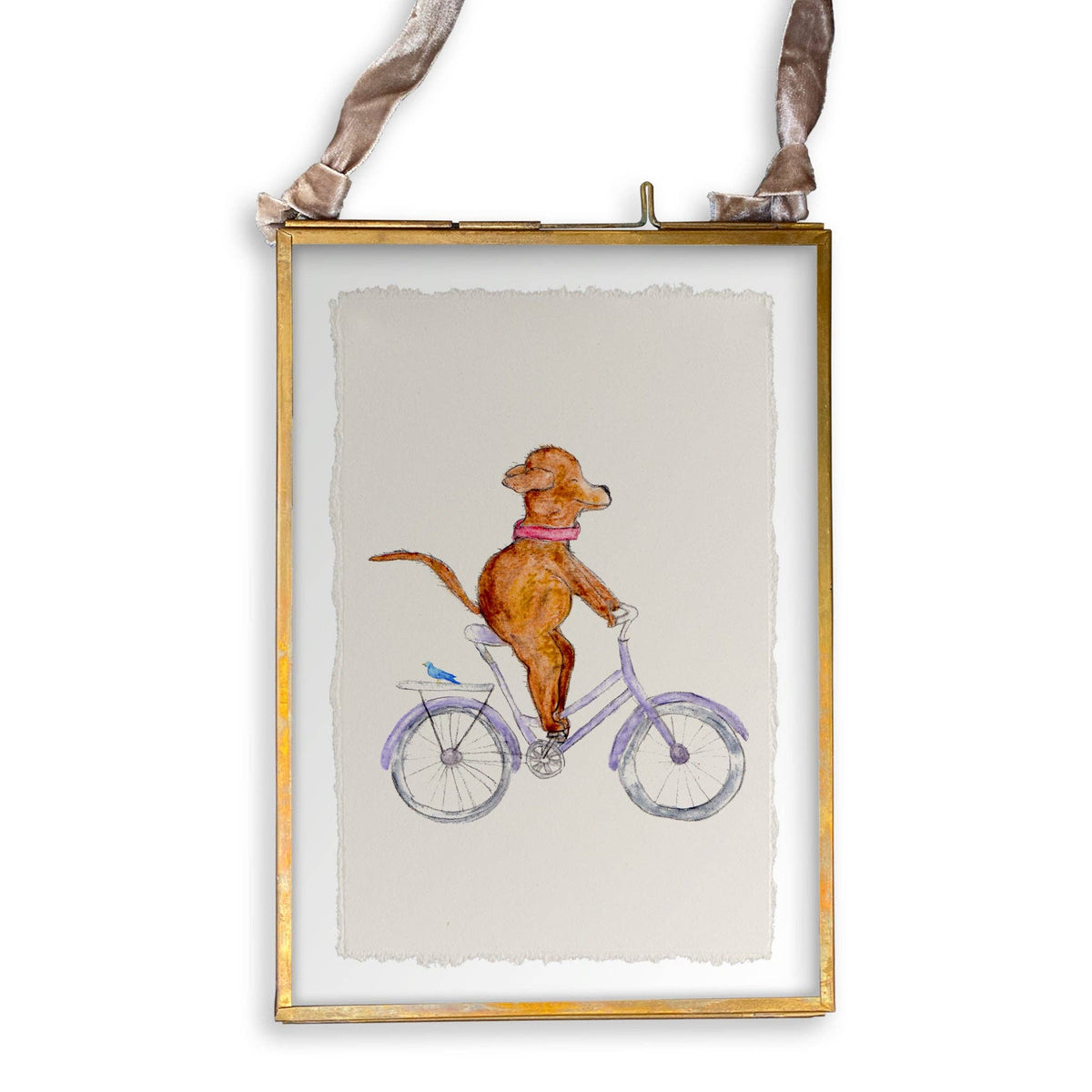 Dog On a Bike