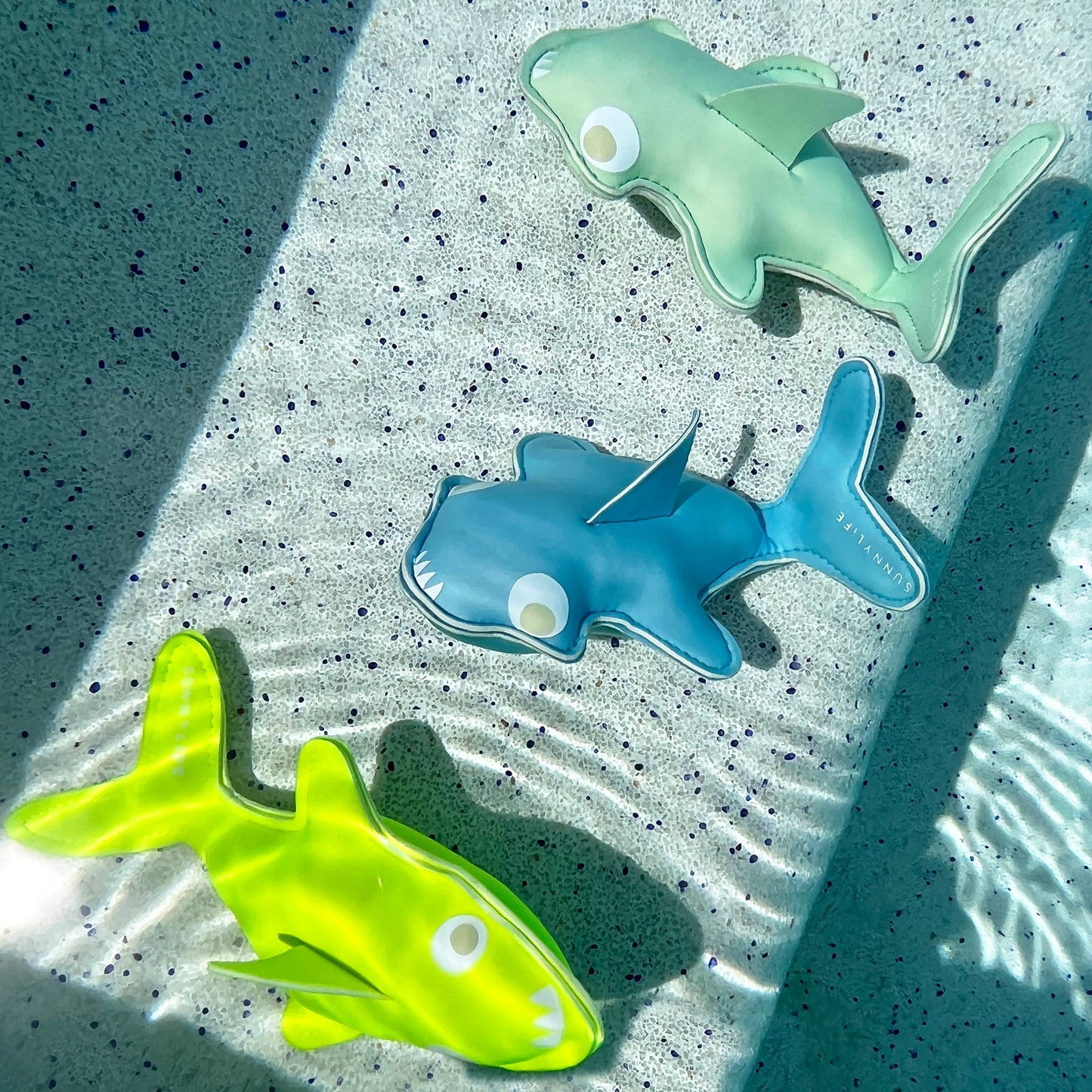 Salty the Shark Dive Buddies