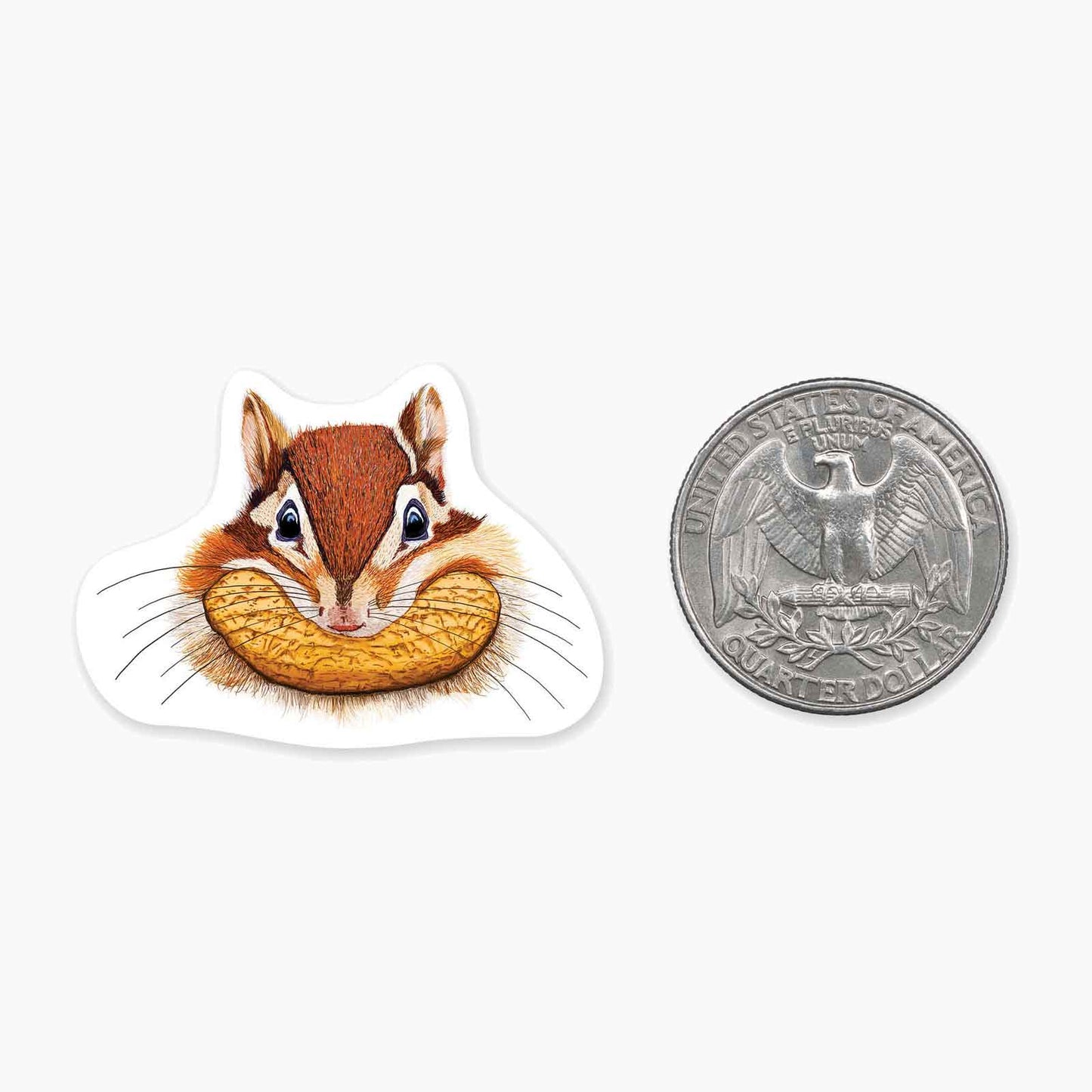 Chipmunk - Mini Sticker