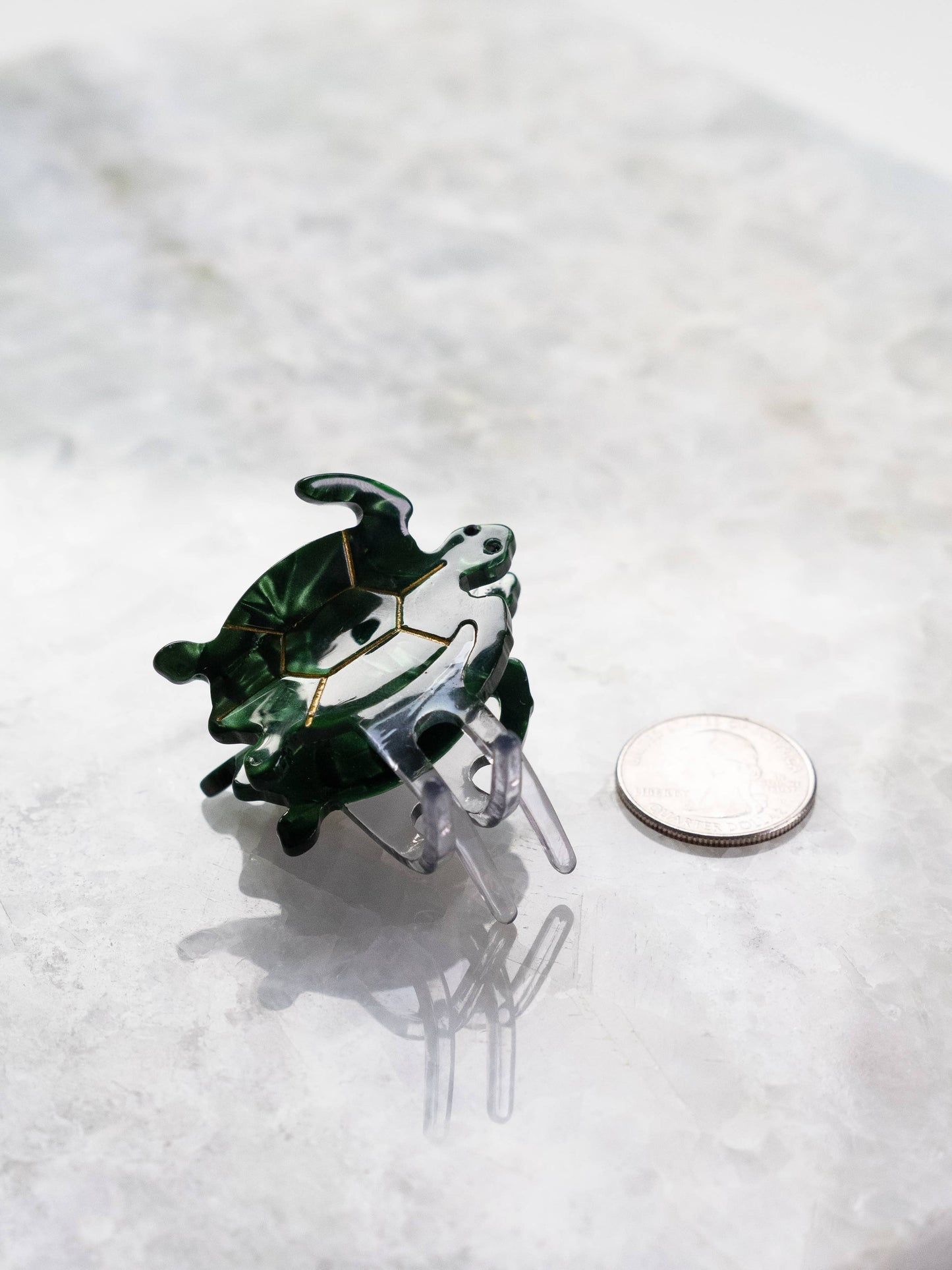 Eco Friendly Turtle Hair Clips, Small