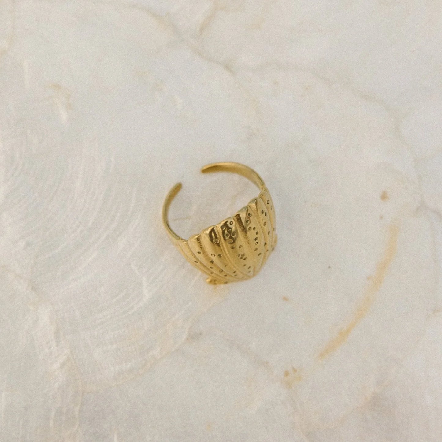 Scallop Shell Ring