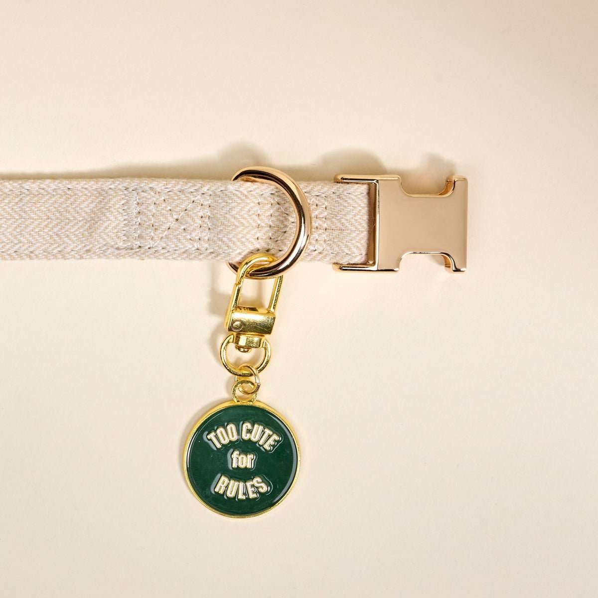 Pet Collar Charm - Too Cute for Rules