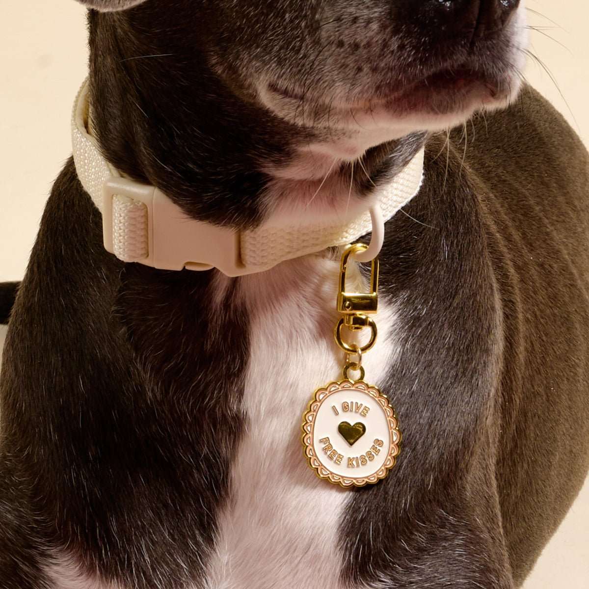Pet Collar Charm - Free Kisses