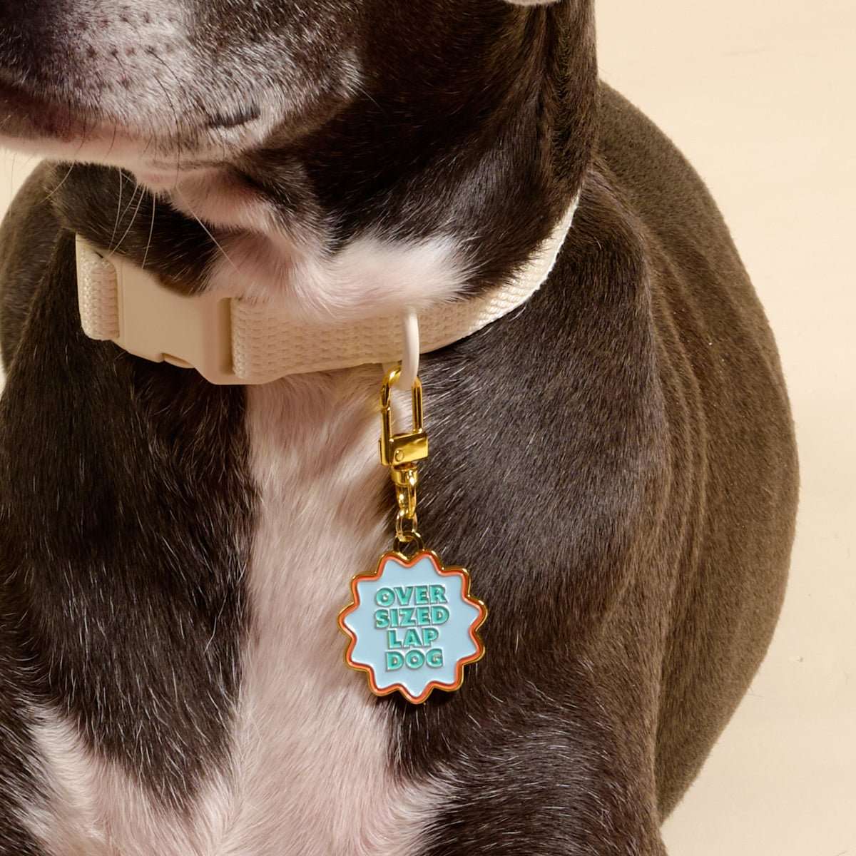 Pet Collar Charm - Oversized Lap Dog